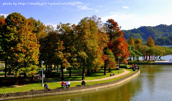 內湖大湖公園