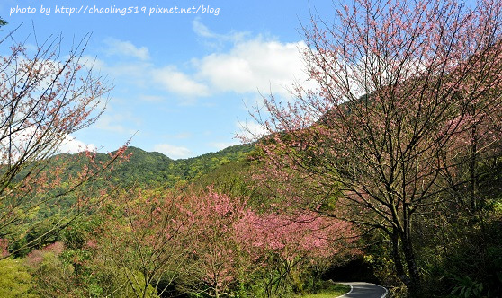 三峽熊空-13.JPG