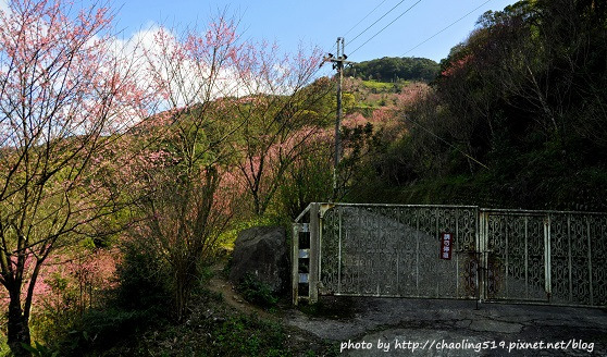 三峽觀天下農場-1.JPG