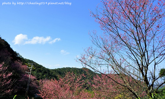 三峽觀天下農場-7.JPG