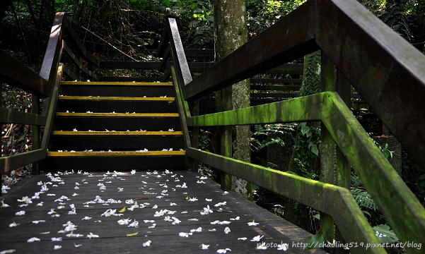 承天禪寺-9.JPG