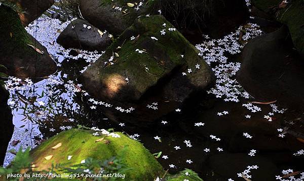 承天禪寺-18.JPG