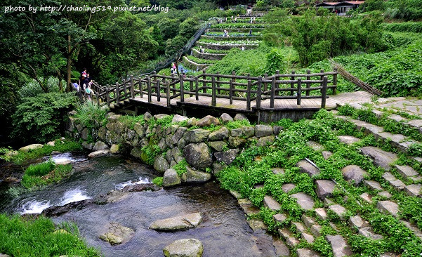 2014竹子繡球花-8.JPG