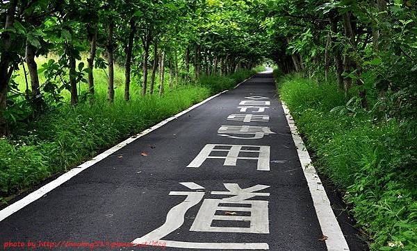 新竹17km自行車道-10.JPG