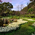 陽明山水仙花園-2.JPG