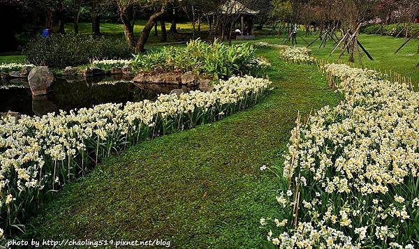 陽明山水仙花園-6.JPG