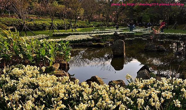 陽明山水仙花園-9.JPG