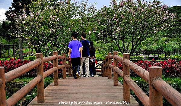 三芝三生步道-3