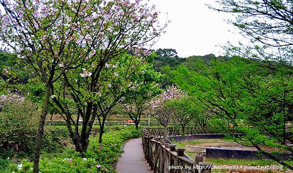 三芝三生步道-4