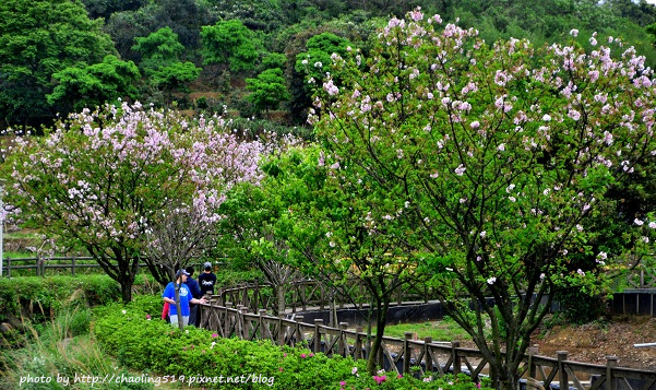 三芝三生步道-5