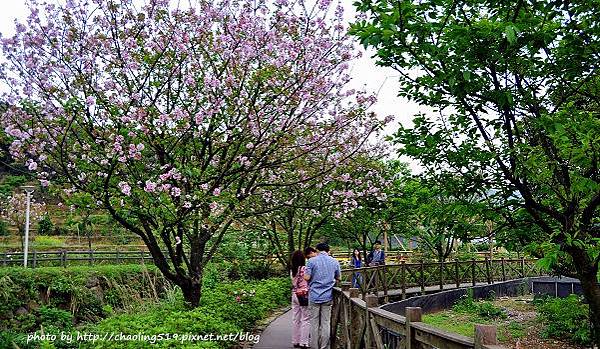 三芝三生步道-6