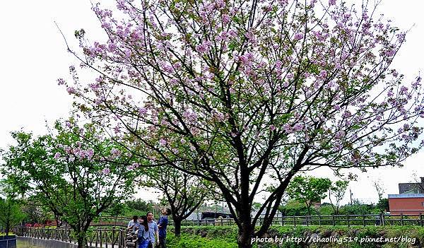 三芝三生步道-7