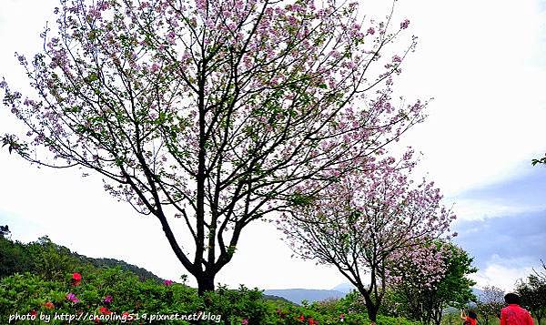 三芝三生步道-12