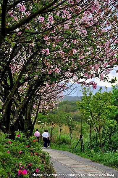 三芝三生步道-14