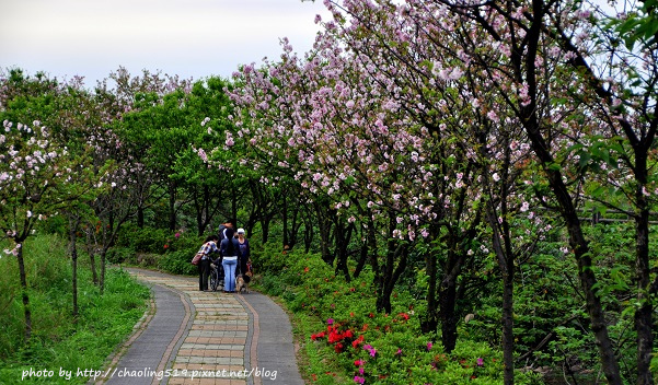 三芝三生步道-15