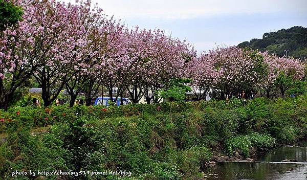 三芝三生步道-17