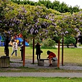 內壢元生公園-7.JPG