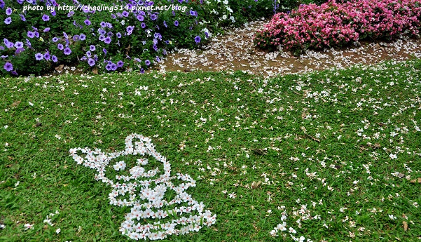 客家大院2015桐花季-14.JPG