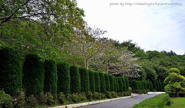 香格里拉樂園-29.JPG