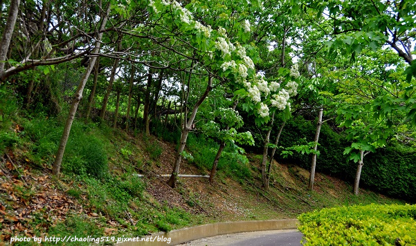 香格里拉樂園-35.JPG