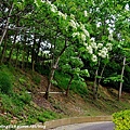 香格里拉樂園-35.JPG