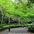 香格里拉樂園-38.JPG