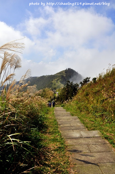 平溪五分山賞芒-14.JPG