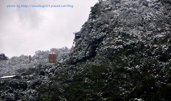 坪林雪地追櫻-3.JPG