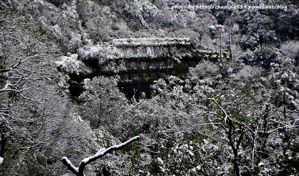 坪林雪地追櫻-15.JPG