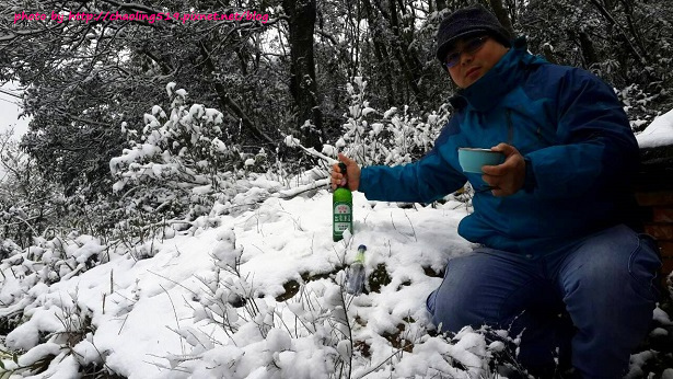 坪林雪地追櫻-33.jpg