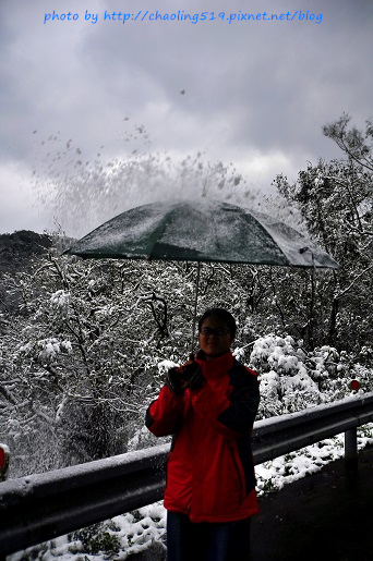 坪林雪地追櫻-46.JPG