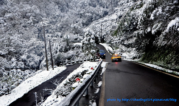 坪林雪地追櫻-53.JPG