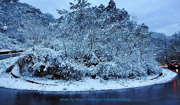 坪林雪地追櫻-61.JPG