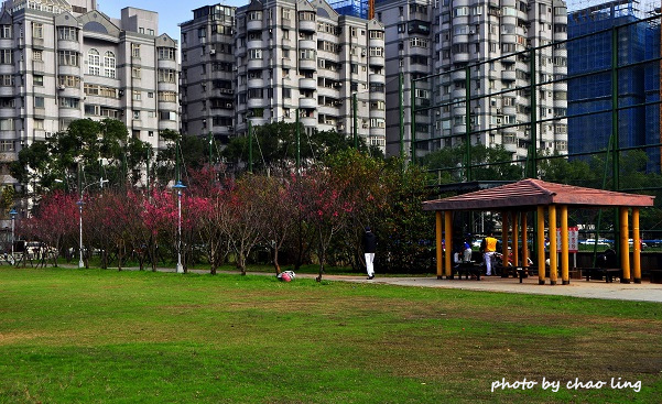 林口運動公園-2.JPG