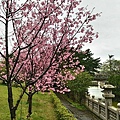 林口竹林山寺-18.jpg