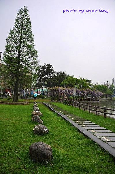 大湖公園-23.JPG