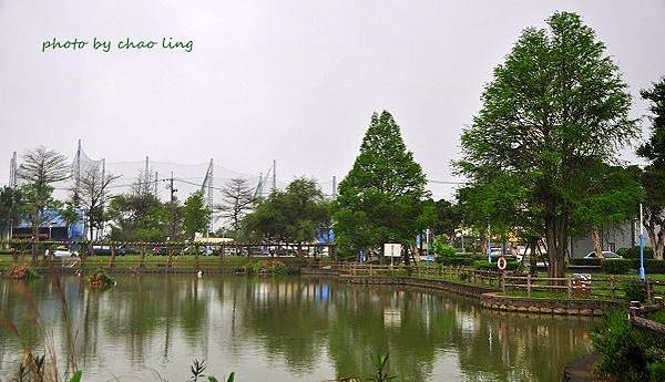 大湖公園-25.JPG