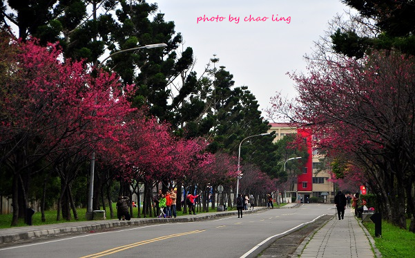 國軍桃園總醫院-1.JPG