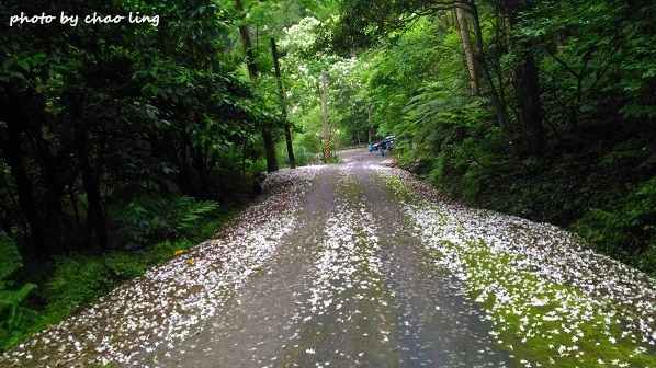 土城石門路-14.jpg