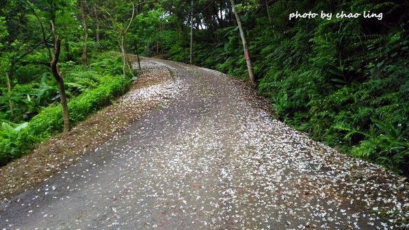 土城石門路-15.jpg