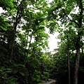 土城石門路-24.JPG