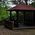 樹林.三峽尋桐-20.JPG