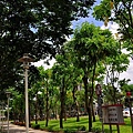 樹林柑園-6.JPG