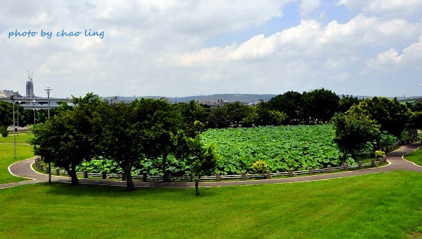 三重荷花公園-1.JPG