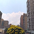 公園路-1.jpg