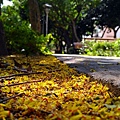 公園路-7.jpg