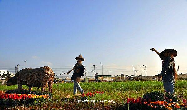 2016桃園花彩節(中壢)-5.JPG