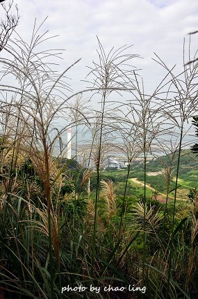 太平濱海步道-13.JPG