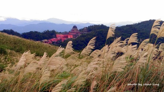 三角埔頂山-40.jpg