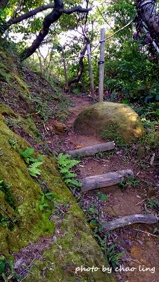 鶯歌幸福步道-14.jpg